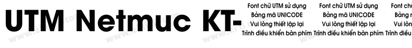 UTM Netmuc KT字体转换